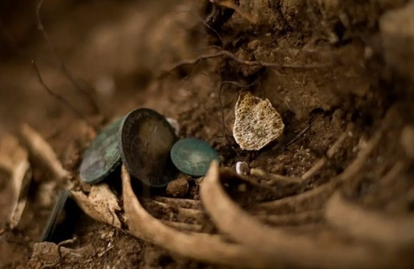 Мужчина откопал 700 золотых монет. Клад может стоить миллионы долларов