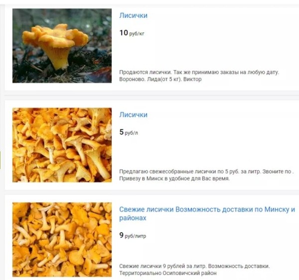 В четыре раза дороже: белорусские лисички появились в магазинах Германии В четыре раза дороже: белорусские лисички появились в магазинах Германии