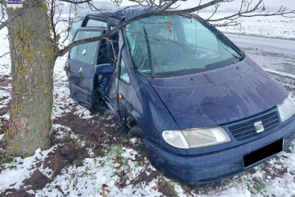 В Польше белорус на Seat слетел с дороги и врезался в дерево
