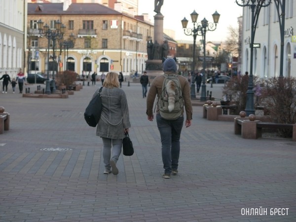 Сколько шагов в день нужно, чтобы уйти от деменции, – рассказали ученые Сколько шагов в день нужно, чтобы уйти от деменции, – рассказали ученые