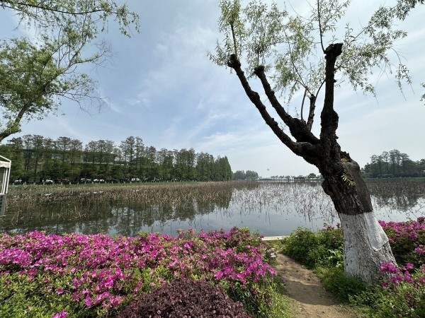 На каких машинах гоняют сами китайцы? Удивитесь, но в топе не только бренды из КНР! На каких машинах гоняют сами китайцы? Удивитесь, но в топе не только бренды из КНР!